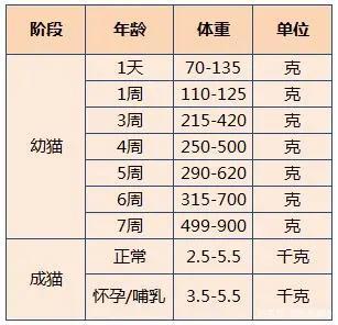 猫体重多少正常(成年公猫体重多少正常)