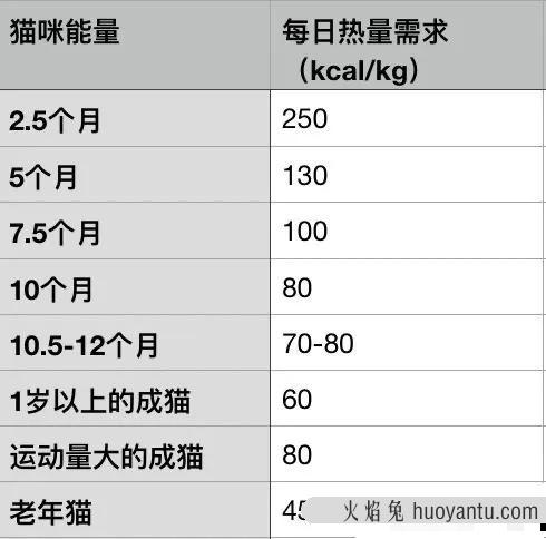 猫体重多少正常(成年公猫体重多少正常)