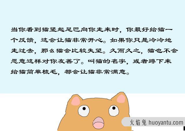 猫翘尾巴走路是什么意思(猫猫走路翘尾巴)