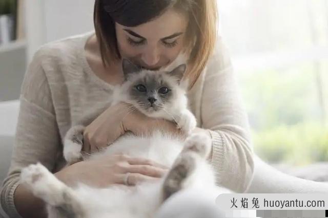 猫咪耳螨最简单治愈方法(猫咪耳螨的治疗方法)