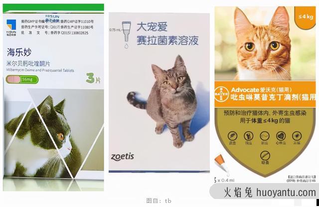 猫咪耳螨最简单治愈方法(猫咪耳螨的治疗方法)