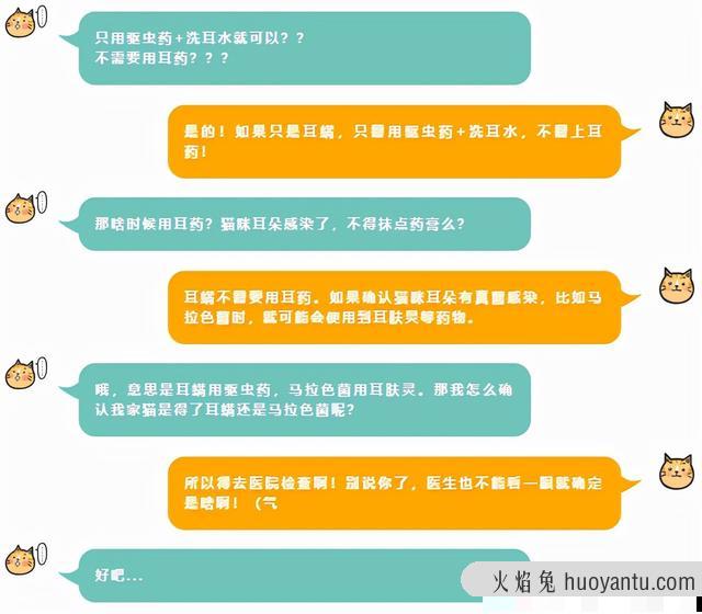 猫咪耳螨最简单治愈方法(猫咪耳螨的治疗方法)