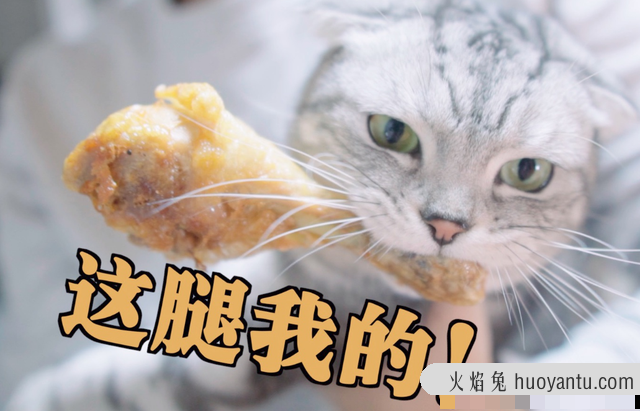 猫可以吃薯片吗(猫可不可以吃薯片?)