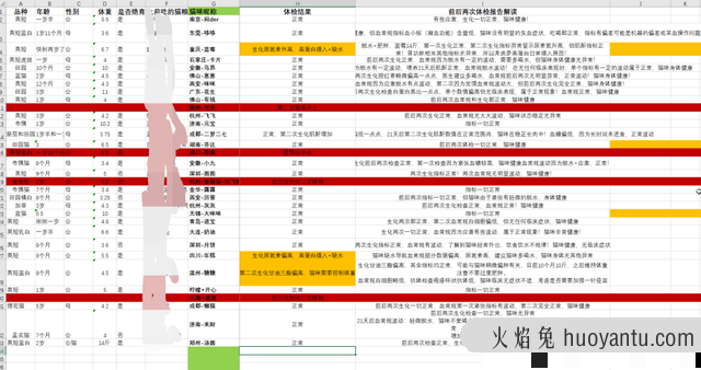 蓝氏猫粮到底怎么样(蓝氏猫粮属于什么档次)