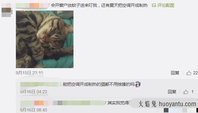 猫的智商高不高(猫的智商是人几岁智商)