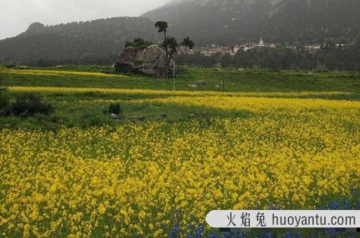 热振寺在哪里 热振寺简介