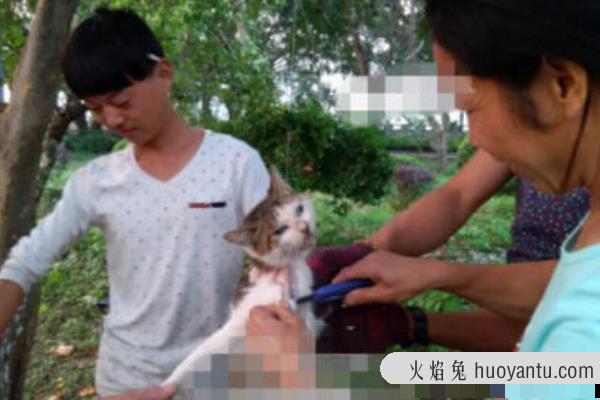 10·15浙江活剥小猫事件处理结果:女子活剥猫皮(笑容满面)