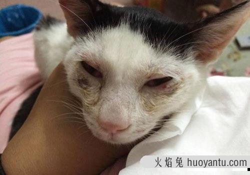 猫卡刺症状 长骨刺有什么症状