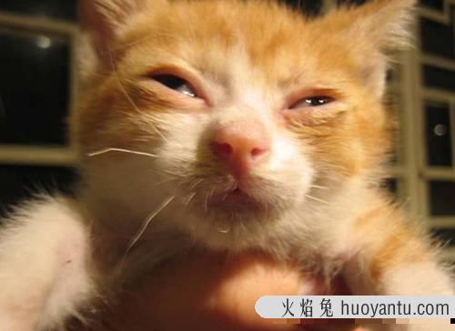 猫卡刺症状 长骨刺有什么症状