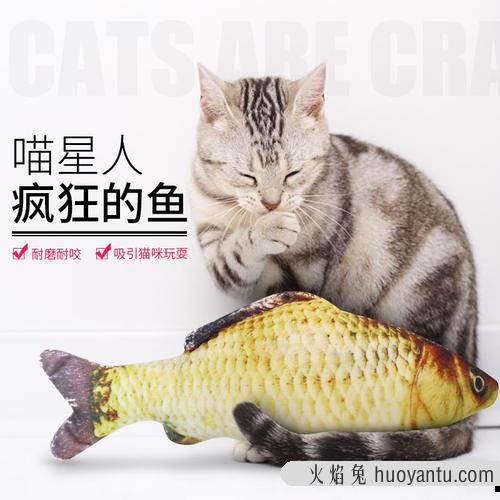 猫咪吃鲫鱼要拔刺吗 给猫做鲫鱼方法如下