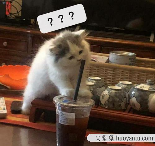 成年猫呕吐拉稀不吃东西 小奶猫不吃东西拉稀呕吐