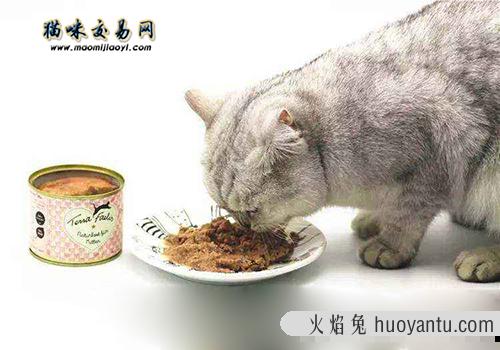 纯种布偶猫价格为什么那么贵？猫舍老板说真话！