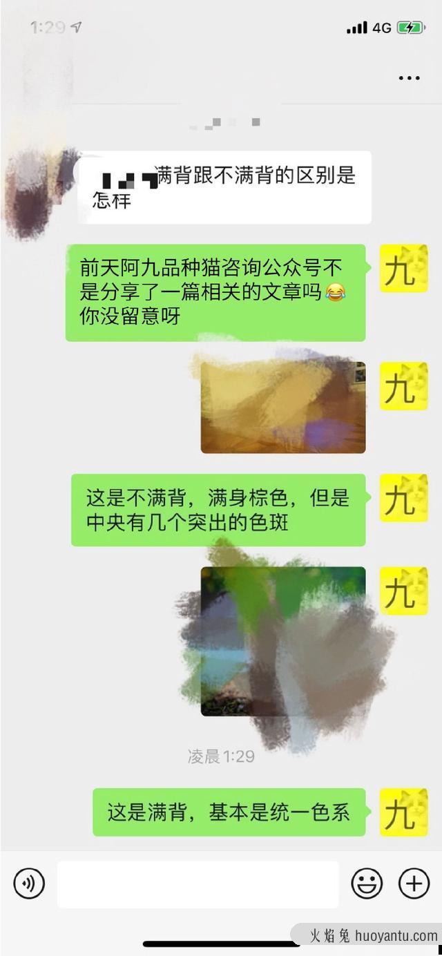 银点和银渐层哪个更好一些(银点与银渐层哪个好)