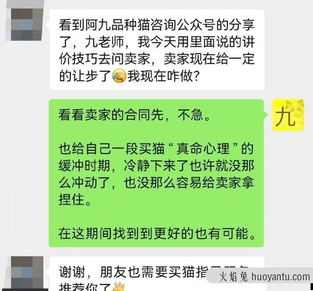 银点和银渐层哪个更好一些(银点与银渐层哪个好)