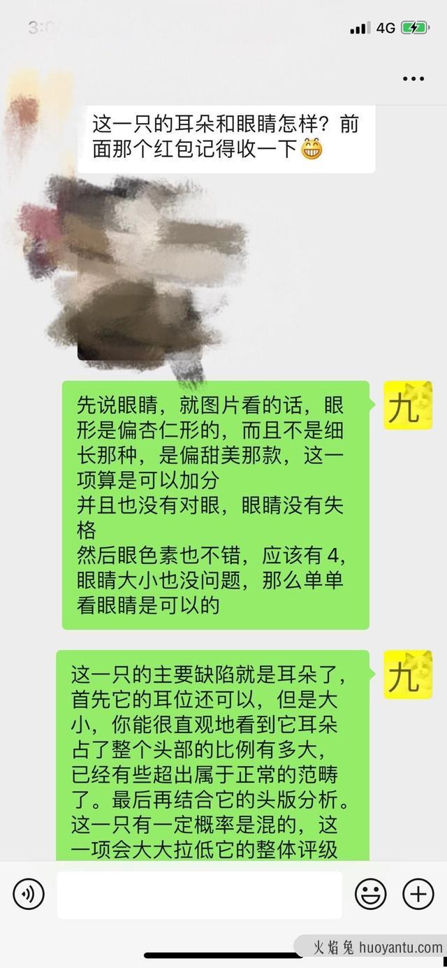 银点和银渐层哪个更好一些(银点与银渐层哪个好)