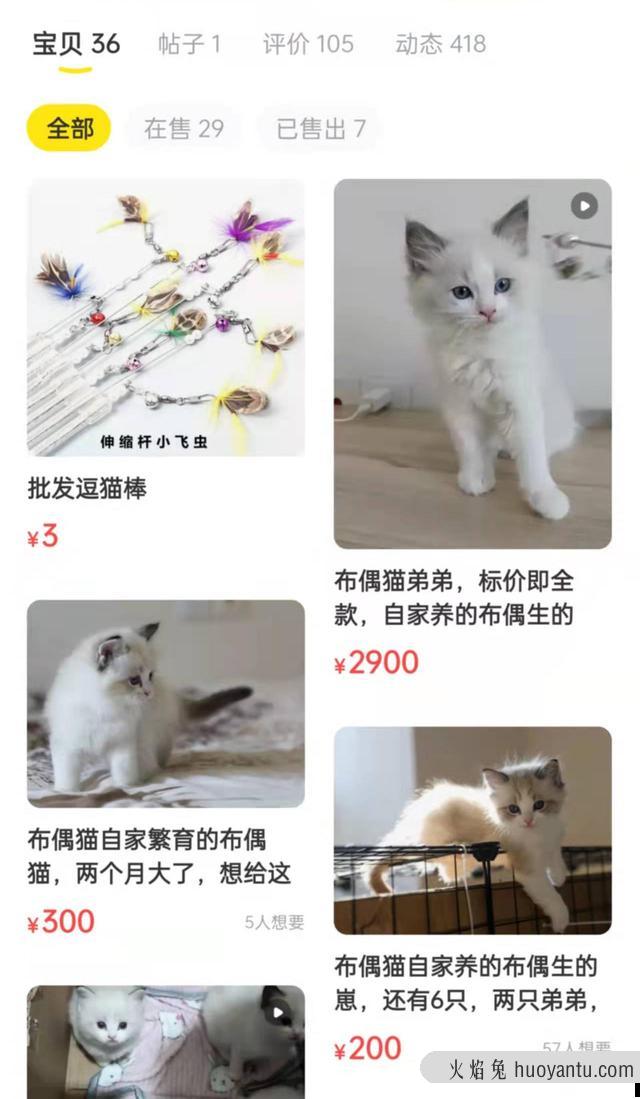 出售宠物猫上哪去卖呀(宠物猫在哪里可以卖)