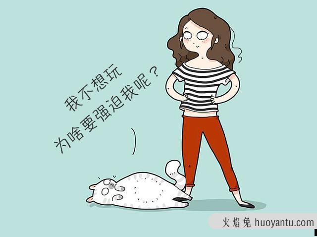 猫咪胆子太小怎么办(猫咪胆子很小怎么办)