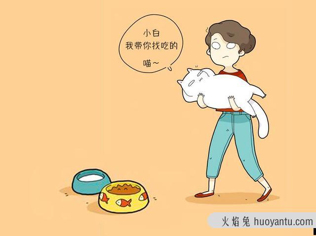 猫咪胆子太小怎么办(猫咪胆子很小怎么办)