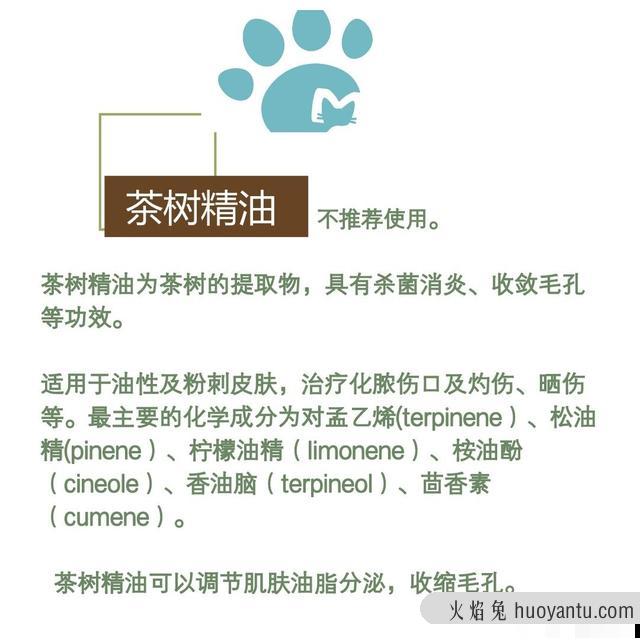 猫咪毛囊炎用什么药(可以用红霉素软膏)