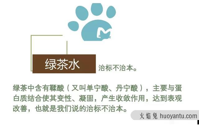 猫咪毛囊炎用什么药(可以用红霉素软膏)