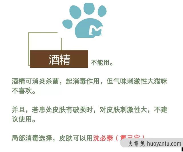 猫咪毛囊炎用什么药(可以用红霉素软膏)