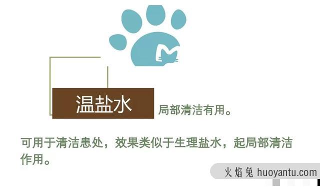 猫咪毛囊炎用什么药(可以用红霉素软膏)