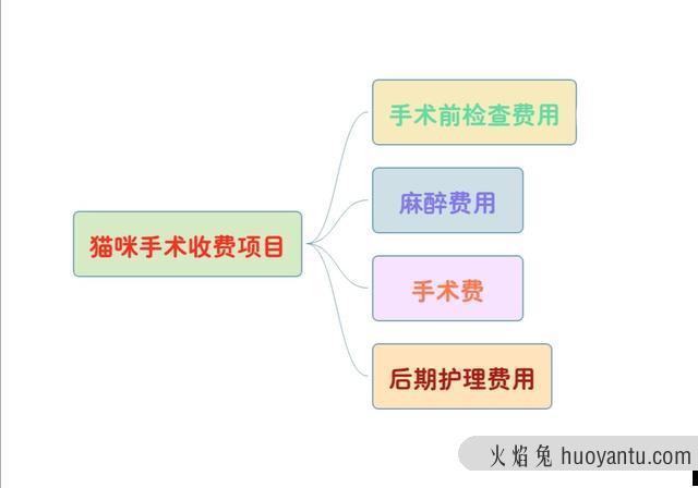 公猫做绝育多少钱(上海公猫做绝育多少钱)