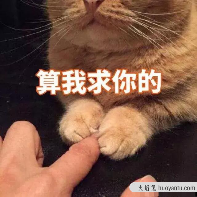 猫打喷嚏会传染给人吗(猫打喷嚏是什么原因)