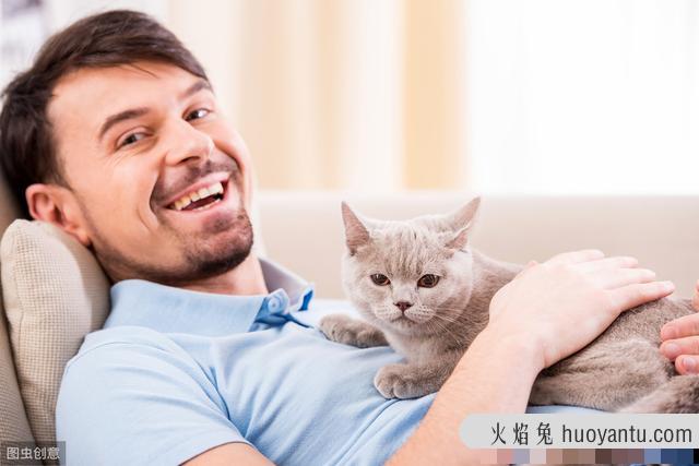 猫应激反应有哪些表现(猫应激反应怎么处理)