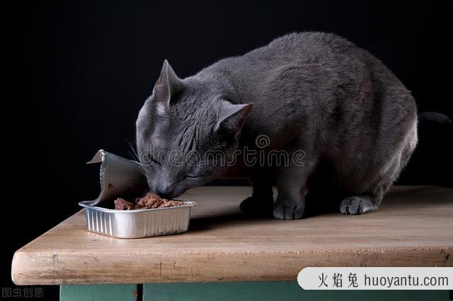 幼猫一天吃多少猫粮(幼猫一天吃多少猫粮合适)