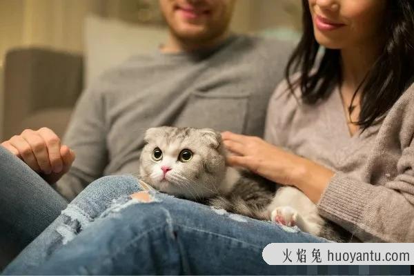 怎么教猫咪用猫砂(怎么教猫咪用猫砂上厕所)