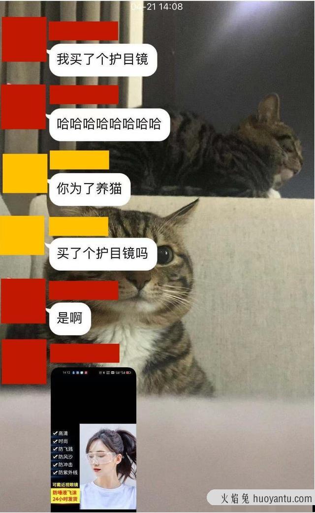 猫多大就不闹腾了(猫一般多大就不闹腾了)