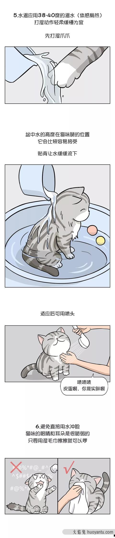 让猫自愿洗澡小妙招(怎么让猫自愿洗澡)