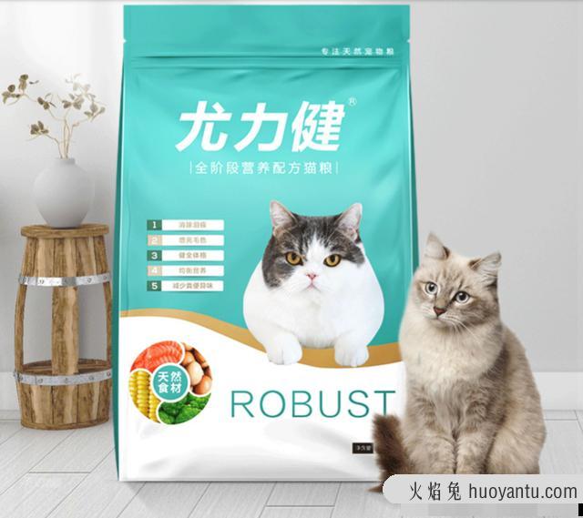 流浪猫吃什么(流浪猫吃什么食物)