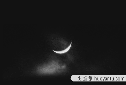 半夜猫叫必须注意(半夜猫叫怎么办)