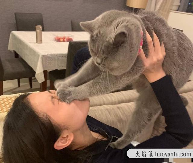 猫咪对主人有感情吗(猫咪对主人的感情到底是怎样的)