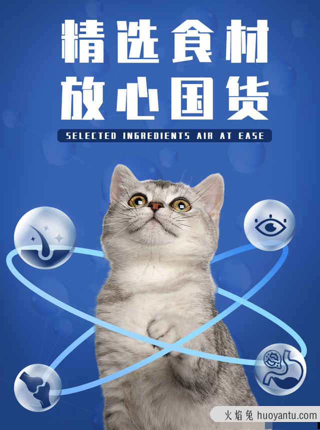 海洋之星猫粮怎么样(海洋之星猫粮是哪国的)