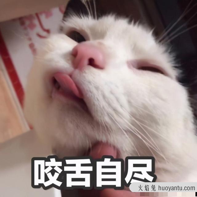 猫咪体内驱虫(猫咪体内驱虫注意事项)