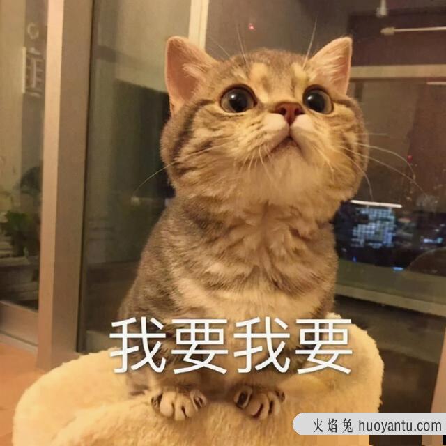 猫咪体内驱虫(猫咪体内驱虫注意事项)