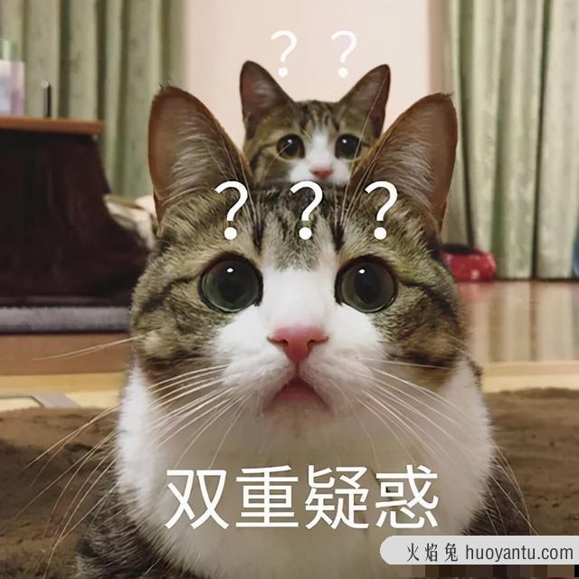 日本猫咪减肥法(日本猫式减肥法)