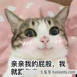 猫会放屁么(猫会放屁吗)