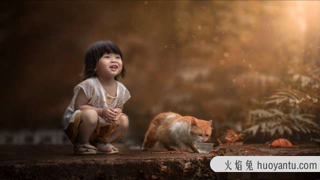 怀孕能养猫吗(刚刚怀孕能养猫吗)