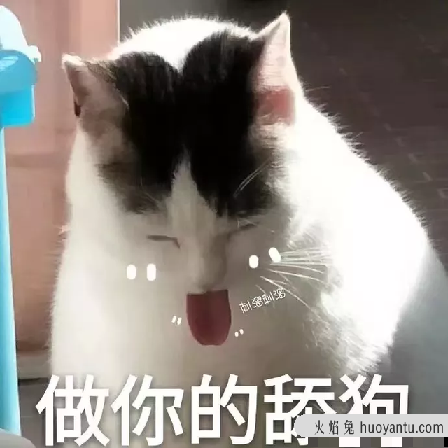 猫咪心情不好的表现(猫猫心情不好的原因)