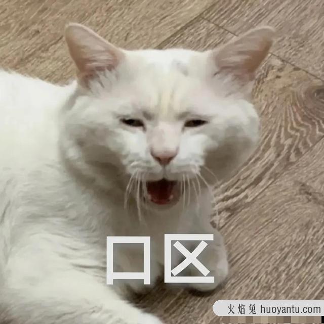 世界上最丑的猫长什么样(世界上最丑的猫图片)