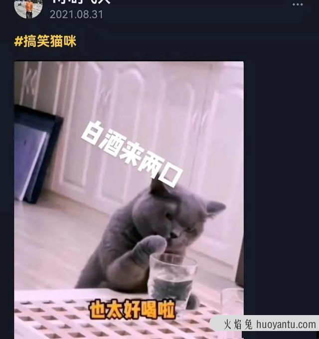 猫咪可以吃奶油吗(猫咪不能吃奶油吗)