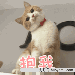 猫长期喝牛奶会怎么样(猫喝牛奶有问题吗)