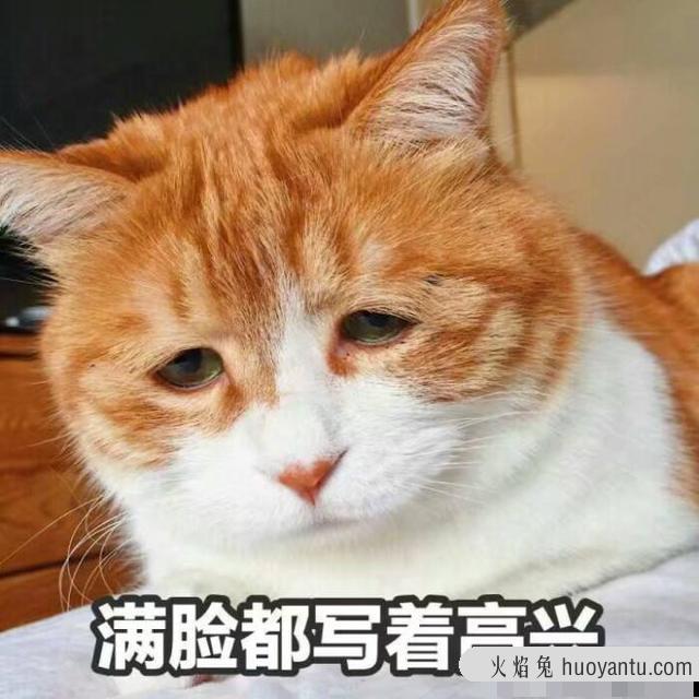 带猫的网名(带猫的网名男生)