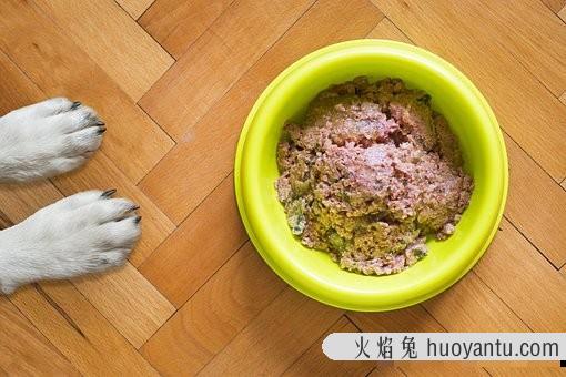 狗能吃猫粮么(狗能吃猫粮吗)