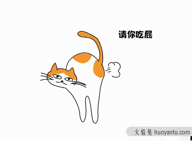 猫咪放屁是什么原因(猫咪放屁很臭正常吗)