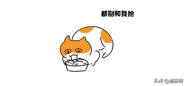 猫咪放屁是什么原因(猫咪放屁很臭正常吗)